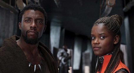 ‘Black Panther: Wakanda’ shoot halted after actor injured on set