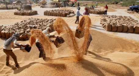Sindh fixes Rs2,200 per 40kg wheat price