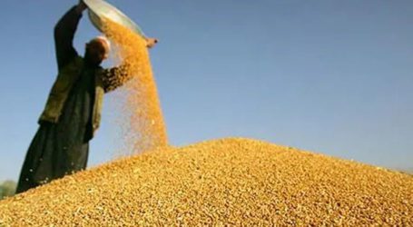 ECC approves wheat import of 450000MT from Russia