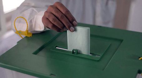 KP LG polls: PTI loses mayor elections in Peshawar, Bannu, Kohat and Mardan