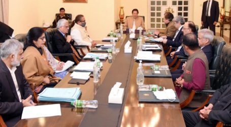 Authorities should play their role against mafias: PM