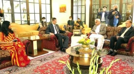 Sialkot lynching: PTI’s delegation visits Sri Lankan High Commission