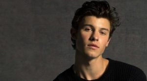 ‘I’m a having a little bit of a hard time at the moment with social media,’ said Shawn Mendes (Instagram)