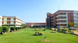 federal urdu university