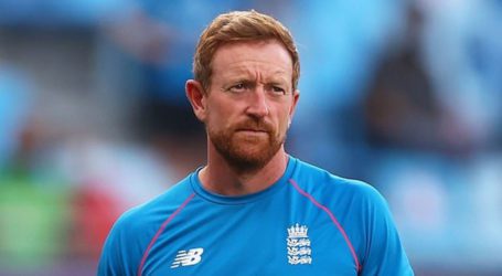 Collingwood appointed England interim head coach for West Indies tour