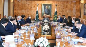 The president held a meeting with Pakistani-American diaspora in the IT sector via video link. Source: APP.