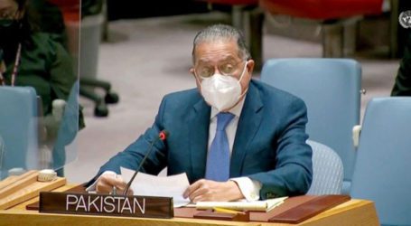 Pakistan will not ‘rest or relent’ until Kashmiris attain freedom: Munir Akram