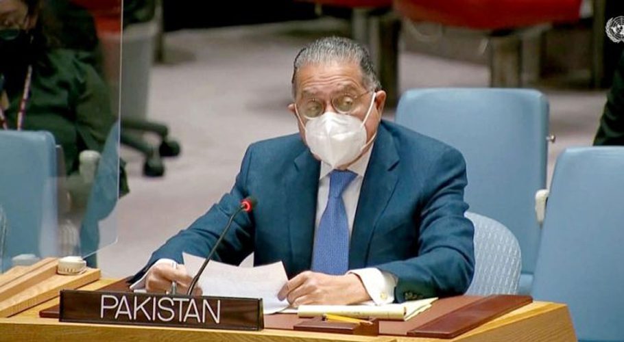 Ambassador Munir Akram was speaking in a webinar commemorating Kashmir Solidarity Day. Source: APP.