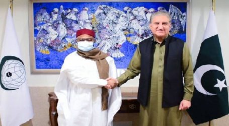 FM Qureshi, OIC Secretary General review conference agenda