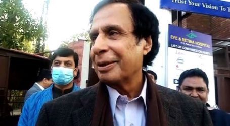 No-trust motion not discussed in meeting with PM Imran: Pervaiz Elahi