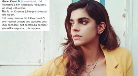 Sanam Saeed and journalist engage in argument on Twitter