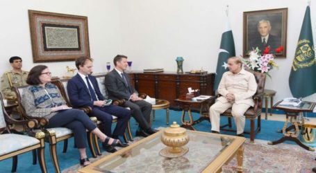 British HC calls on PM Shehbaz Sharif, expresses desire to work ‘closely’ with Pakistan