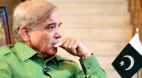 PM Shehbaz seeks proposals from economic experts on financial stability