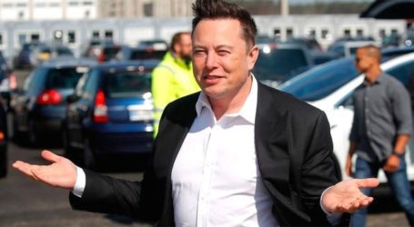 Who is Elon Musk and has he bought Twitter?