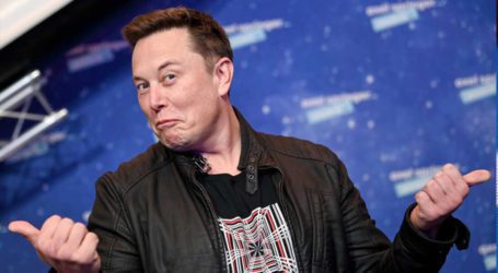Campaign launched to stop Musk buying Twitter