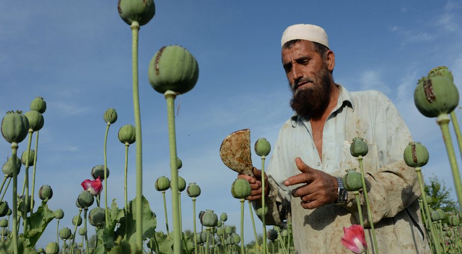 Taliban announced a ban on poppy cultivation. Source: TIME.