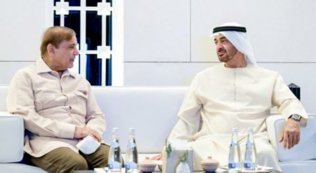 PM Shehbaz, UAE Crown Prince discuss mutual ties