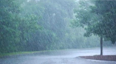 PMD forecasts countrywide torrential rains