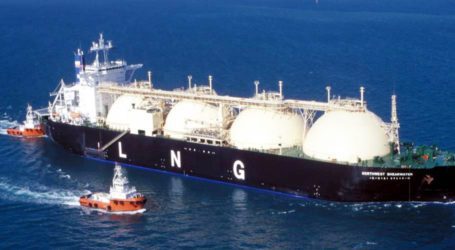 Govt plans long term LNG purchase to deal with energy crisis