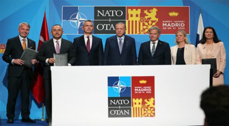 Turkey supports Finland and Sweden NATO bid
