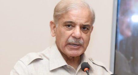 PM Shehbaz decides not to appear before court today