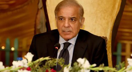 PM Shehbaz urges ECP to pronounce verdict on PTI foreign funding case