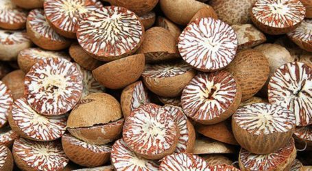 Hazardous betel nuts being cleared on ‘fake lab reports’