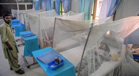 194 new dengue cases reported in twin cities during last 24 hours