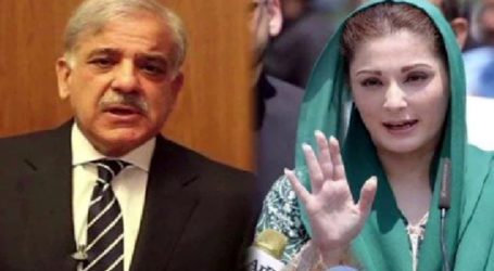 PM Shehbaz alleged audio tape about Maryam’s son-in-law leaked