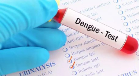Dengue cases continue to rise in Rawalpindi