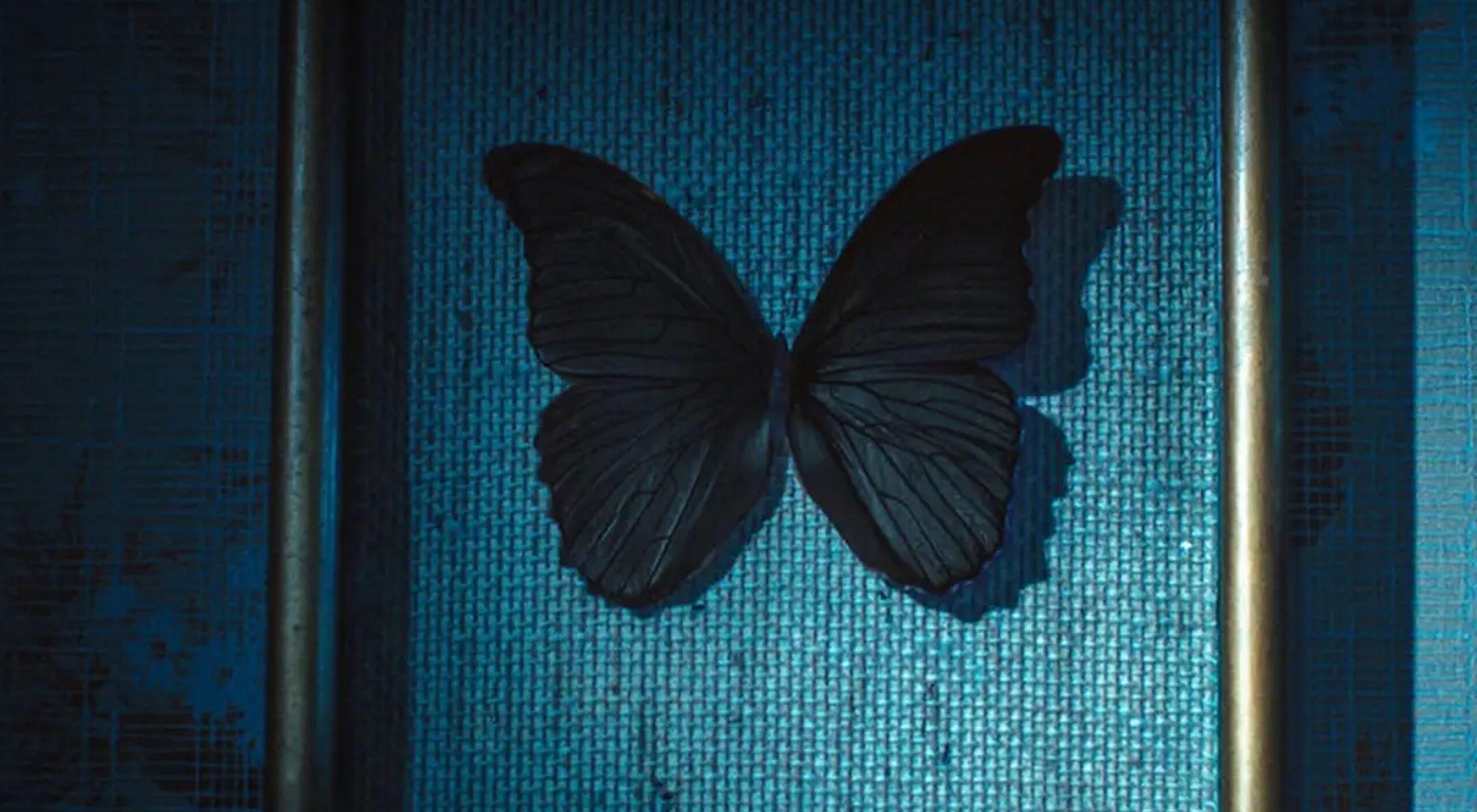 Netflix's French thriller 'Black Butterflies: Stream it or skip it?