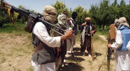 Provincial govt reveals presence of armed Taliban in KP areas