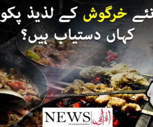 This Karachi restaurant serves delicious rabbit dishes