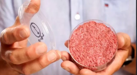Lab-grown meat cleared for human consumption by U.S. regulator