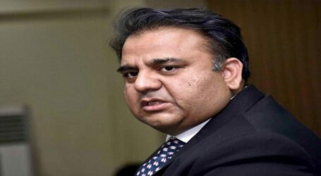 Fawad Chaudhry holds meeting with US envoy Donald Blome