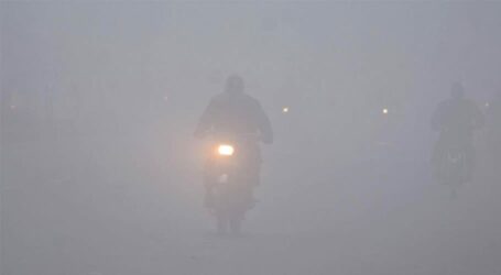 Sections of motorways closed owing to fog