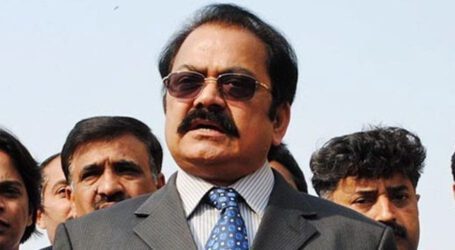 Imran Khan should be arrested for running a campaign to bankrupt country: Rana Sanaullah