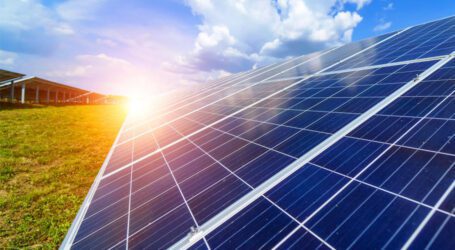 Harnessing plant molecules to improve efficiency of Solar Panels