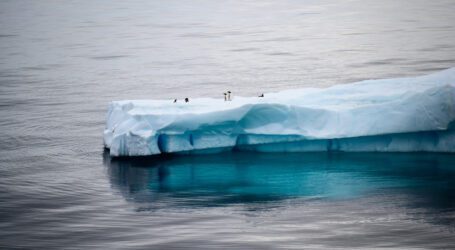Scientists find new reason behind Antarctica’s melting ice