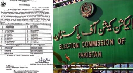 On LHC orders, ECP suspends by-polls on 27 NA seats
