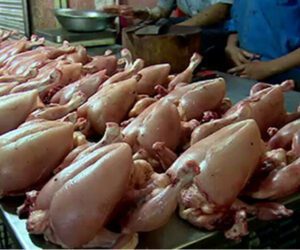 Chicken prices in Pakistan likely to increase in coming months