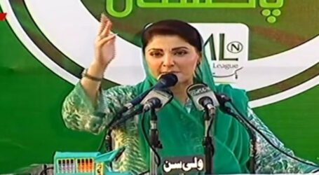 PML-N is ready for elections and will get thumping victory: Maryam