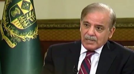 Declined deal offer by Bajwa before 2018 elections, claims PM Shehbaz