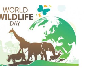 World Wildlife Day celebrated in Gilgit