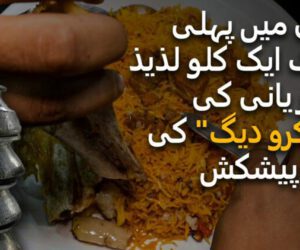 Nalli Biryani mirco pot: Is it worth a try? Let’s find out