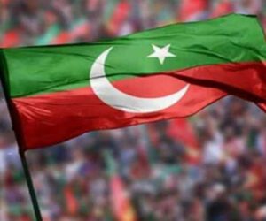 PTI expels 11 members for being absent in mayor’s election