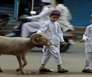 Eid-ul-Adha: What is Qurbani and why Muslims sacrifice livestock?
