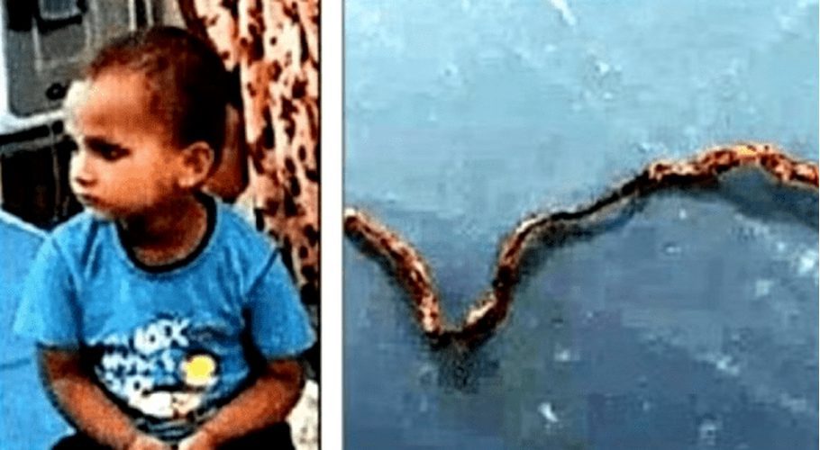 Cobra dies of child bite in India’s Chhattisgarh