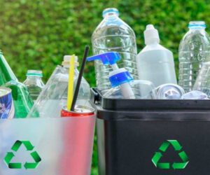 Sindh introduces Hariyali Hub to recycle plastic waste in dust bins