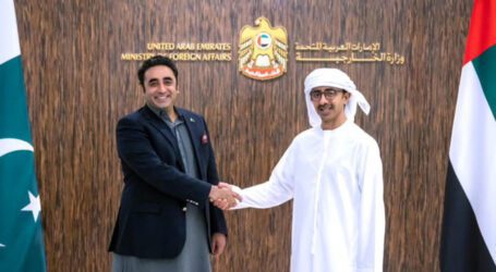 Pakistan, UAE vow to further strengthen economic ties